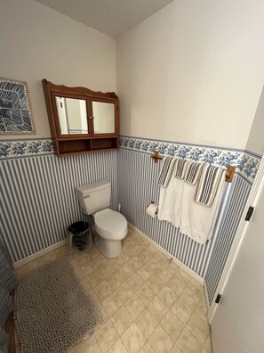 Shower, towels, soap, toilet paper