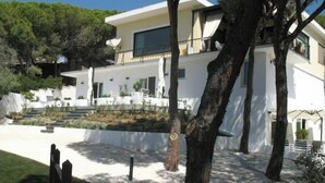 Une maison moderne à deux étages, dotée d’un balcon, entourée d’arbres et agrémentée d’un jardin bien entretenu.