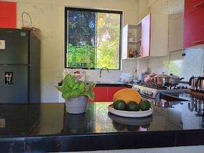 Une cuisine équipée d’un réfrigérateur, d’un évier, d’une cuisinière et d’une fenêtre donnant sur un espace verdoyant.