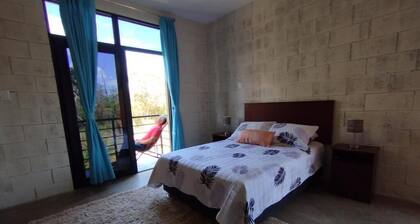 Discover the Peruvian Jungle: M&K House a refuge for you in Tarapoto.