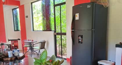 Discover the Peruvian Jungle: M&K House a refuge for you in Tarapoto.