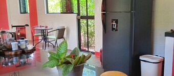 Discover the Peruvian Jungle: M&K House a refuge for you in Tarapoto.
