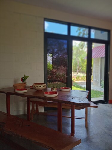 Discover the Peruvian Jungle: M&K House a refuge for you in Tarapoto.