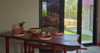 Discover the Peruvian Jungle: M&K House a refuge for you in Tarapoto.