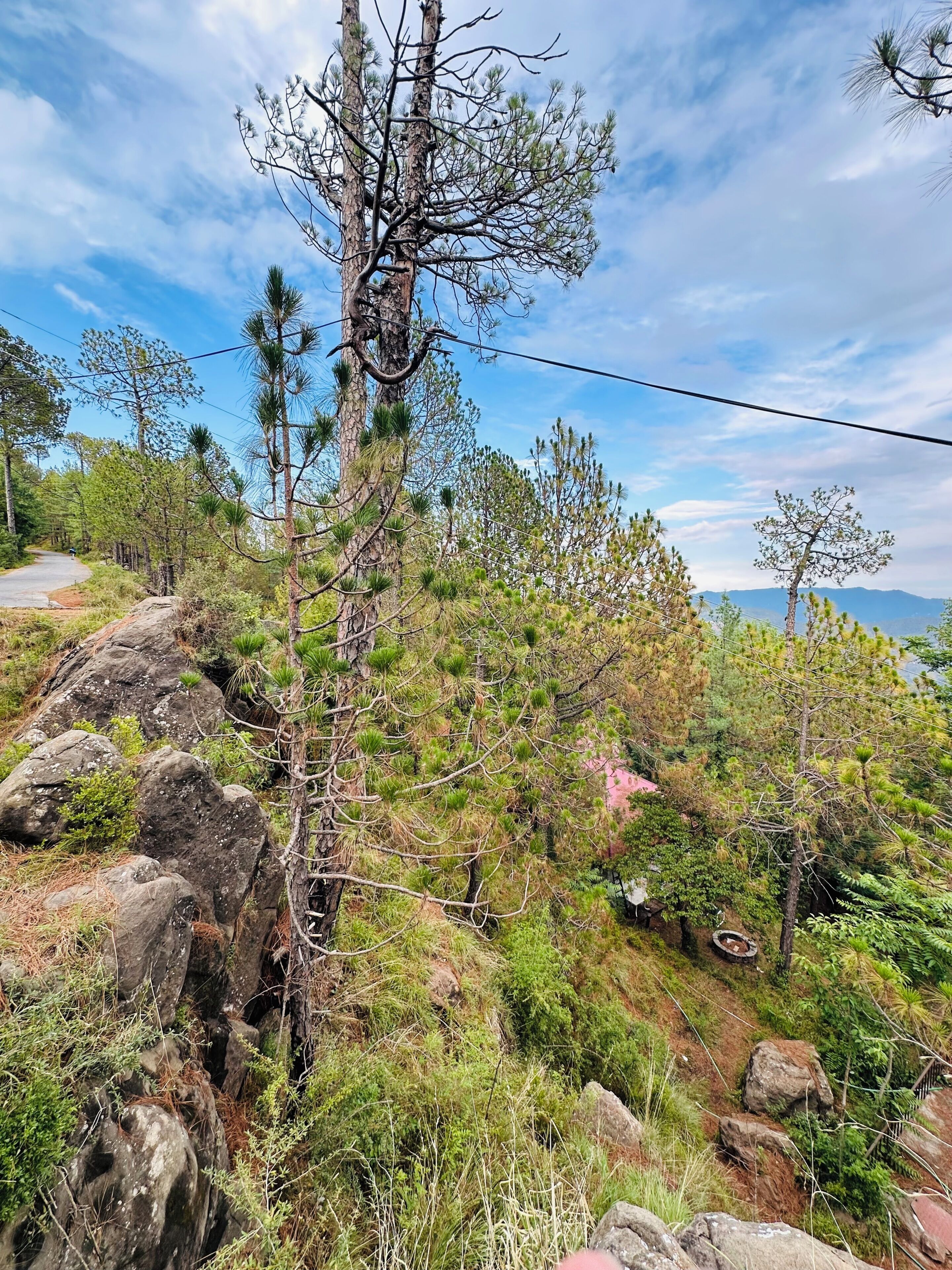 A natural landscape with trees, rocks, and a road.