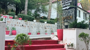 Un área de recepción con pared de piedra, escalones rojos y plantas en macetas.