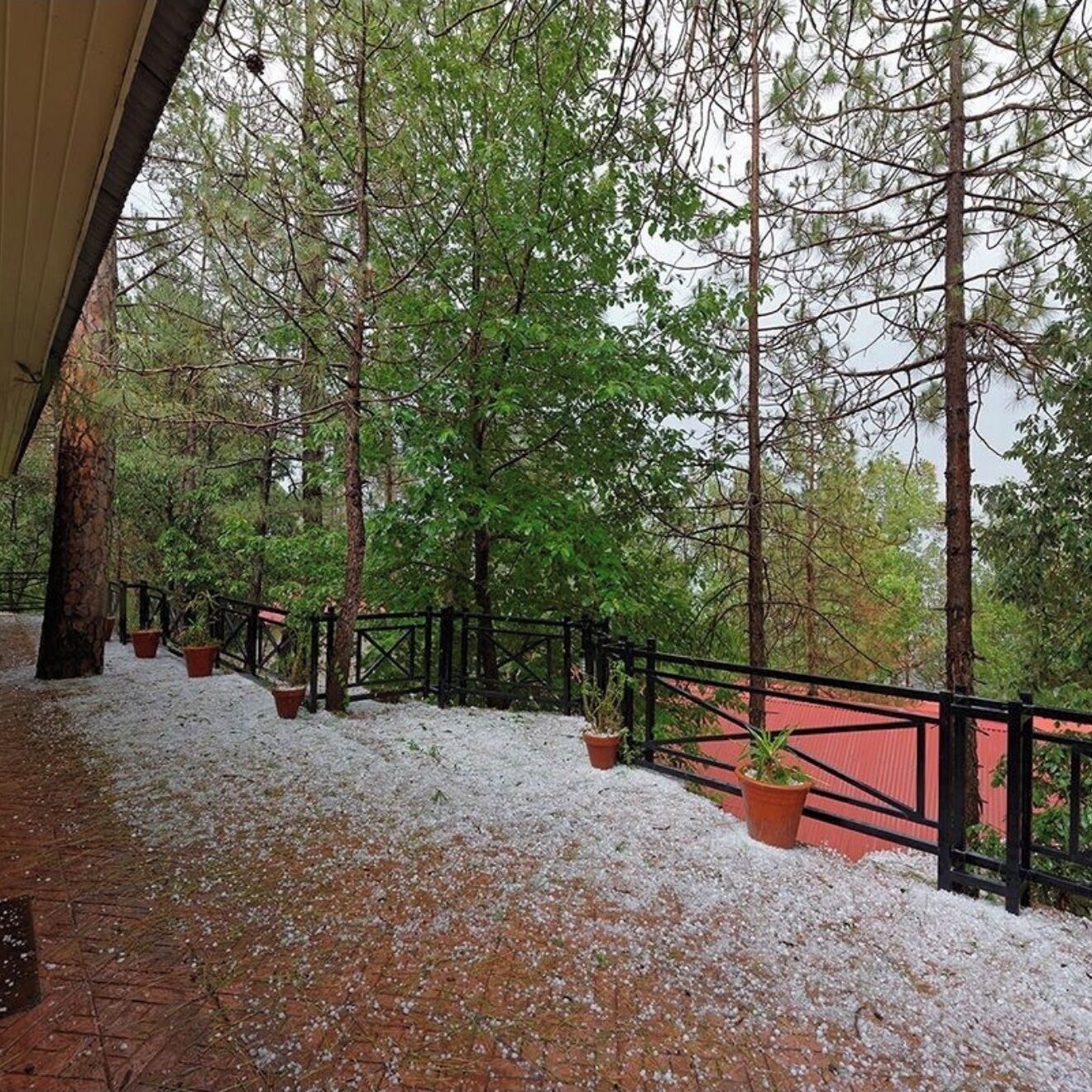 Premium bedding, free WiFi, bed sheets