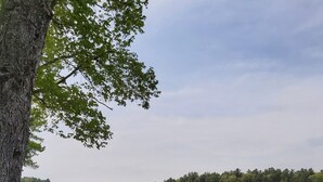 Uitzicht op een meer, met een boom en een rij boten.