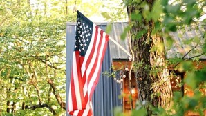 En enkel stuga med en amerikansk flagga som hänger från ett träd, omgiven av tät vegetation.