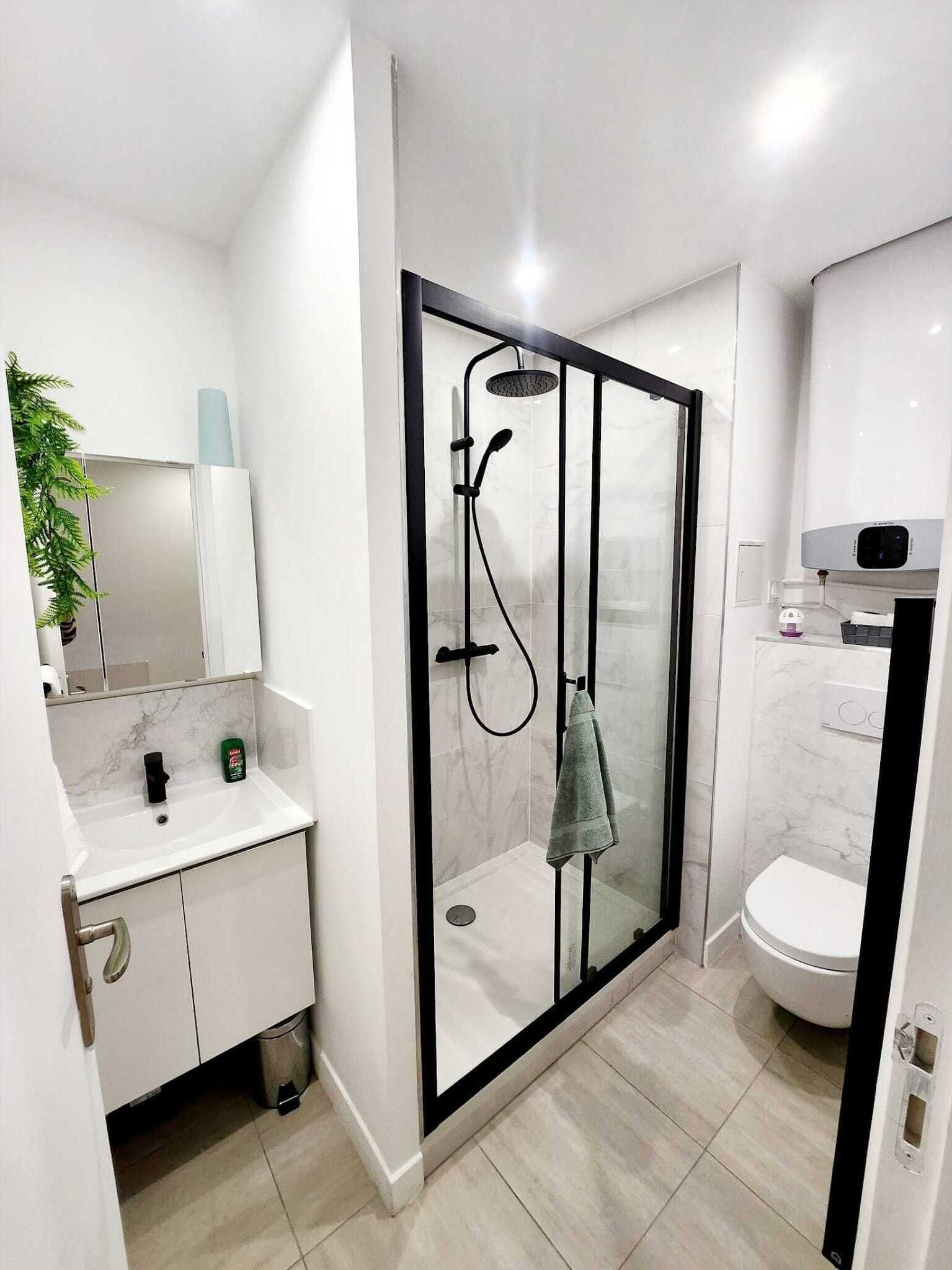 Hair dryer, towels, toilet paper