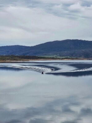 A calm lake with a person rowing, surrounded by hills and a cloudy sky. - Room 16: Centrally Located 2BR Apartment in Jindabyne, Perfect for Ski Season (Jindabyne)