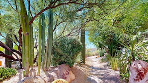 Un jardín desértico con cactus y grandes rocas.