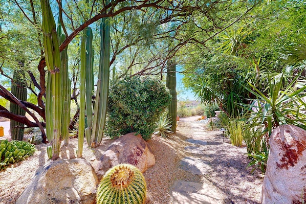A desert garden with cacti and large rocks. - Beautiful mountain-view home with fireplace, private pool, grill, patio & W/D (Cave Creek)