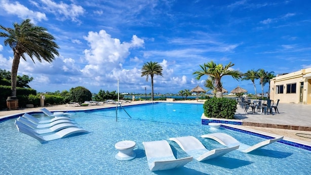 Une piscine entourée de chaises longues, de palmiers et surplombée d’un ciel bleu azur.