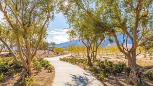 A paved pathway flanked by trees with a mountainous backdrop. - Desert days, cozy nights, and poolside delights await at this stylish home. (Palm Springs)