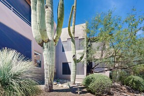 Property grounds - Radiant retreat with pool and hot tub access, sunroom, washer/dryer, gym, & AC (Tucson)