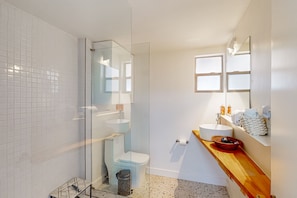 Shower, hair dryer, towels - Charming & bright bungalow w/ patio, yard, close to downtown shops, dogs ok (Tucson)