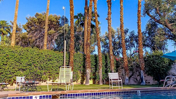 A swimming pool with a tiled edge, surrounded by tall palm trees and a hedge. - Gated community home with 2 pools, hot tubs, private patio, AC, & W/D (Palm Desert)