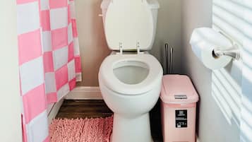 Hair dryer, towels, soap, toilet paper