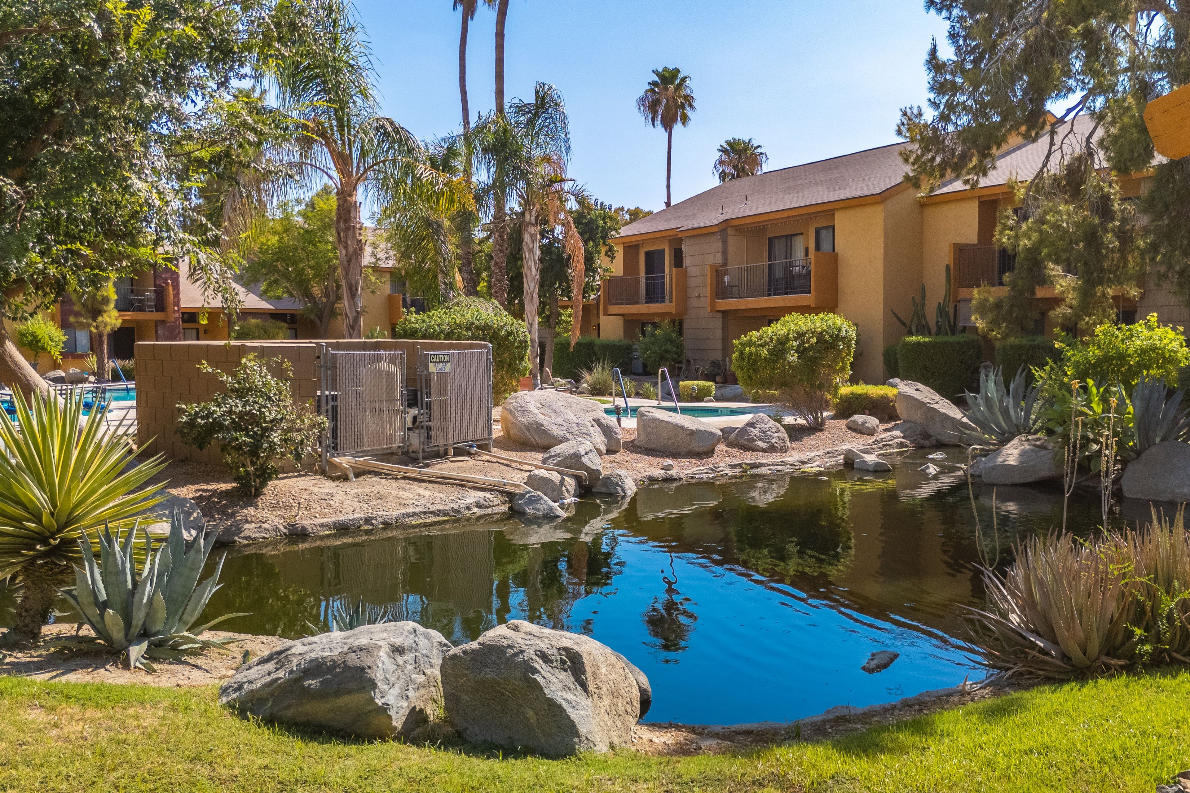 A landscaped pool area with rocks, a small pond, and a building with balconies.