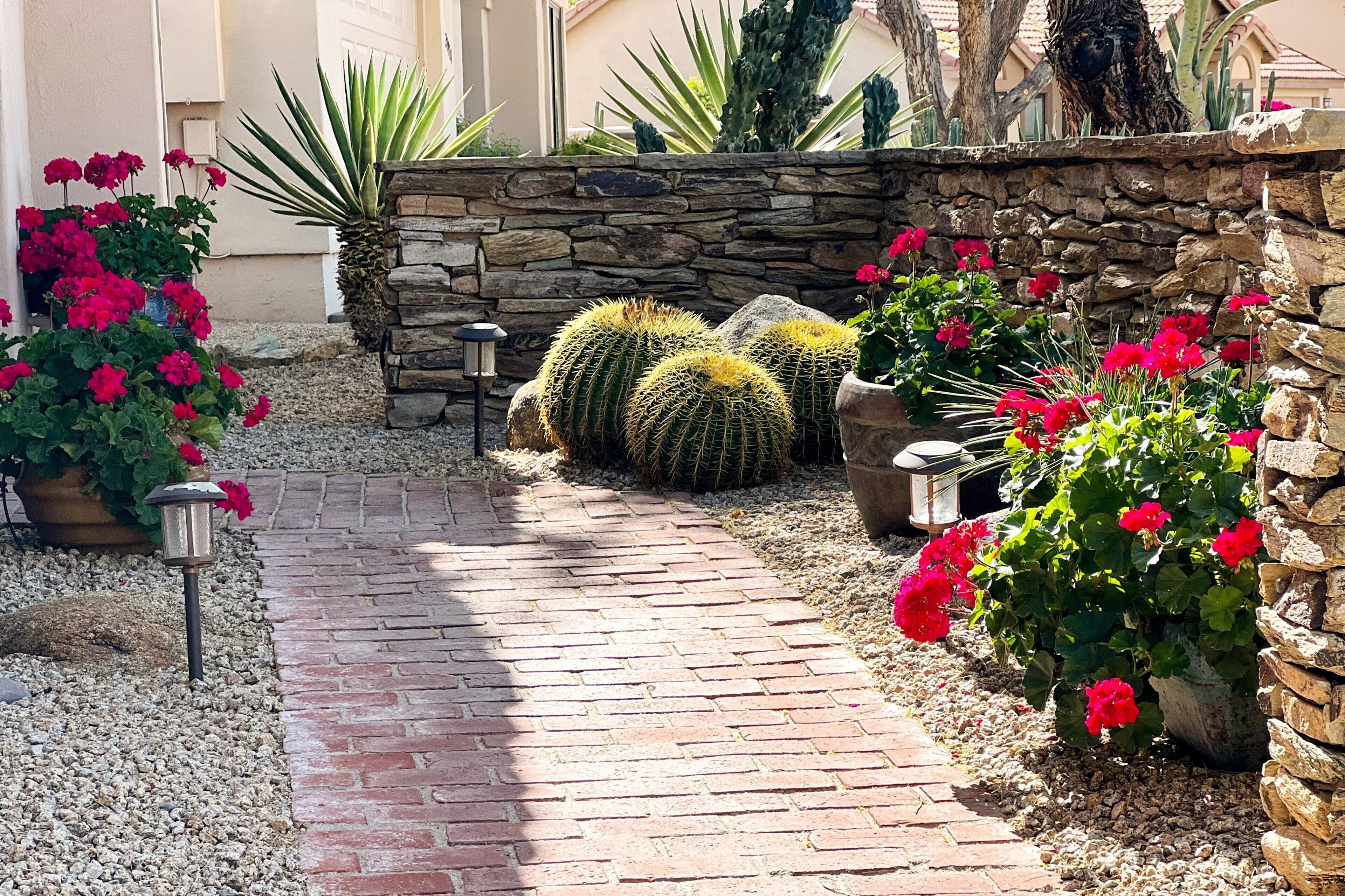A garden pathway with potted plants and cacti.