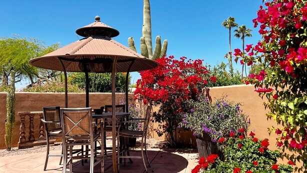 Un patio exterior con mesa y sillas bajo un paraguas grande, rodeado de plantas y cactus.