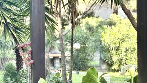 A garden with various plants and a wooden post. - Villa Prestige 🌊✨ - Refinement and Relaxation Just a Step from the Sea (Santa Margherita di Pula)