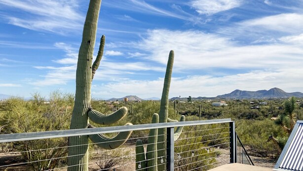 Een woestijnlandschap met hoge cactussen en een helderblauwe lucht.