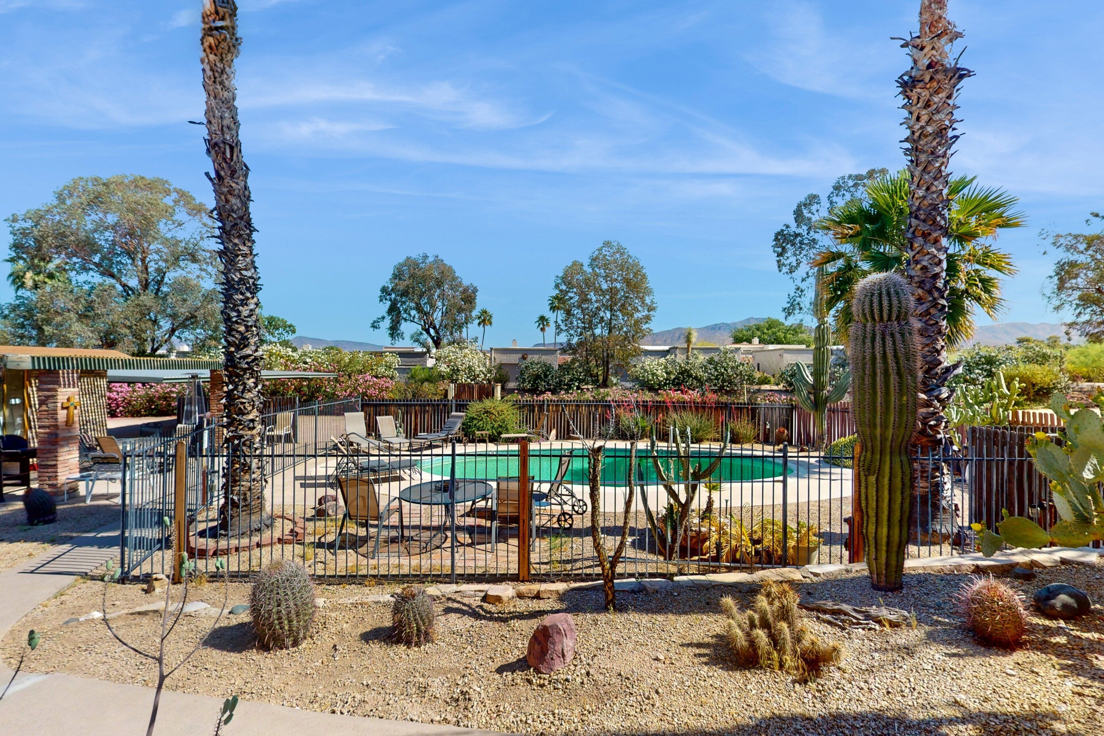 A fenced garden with a pool, cacti, and palm trees.