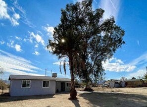 A single-story building with a flat roof, a small porch, and a tree in front. - Well-equipped modern home with mountain views, washer/dryer, full kitchen, & AC (Joshua Tree)