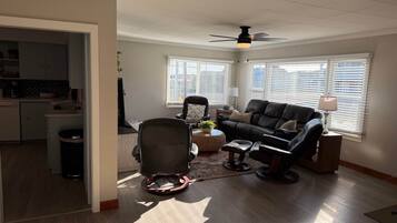 TV, fireplace, DVD player