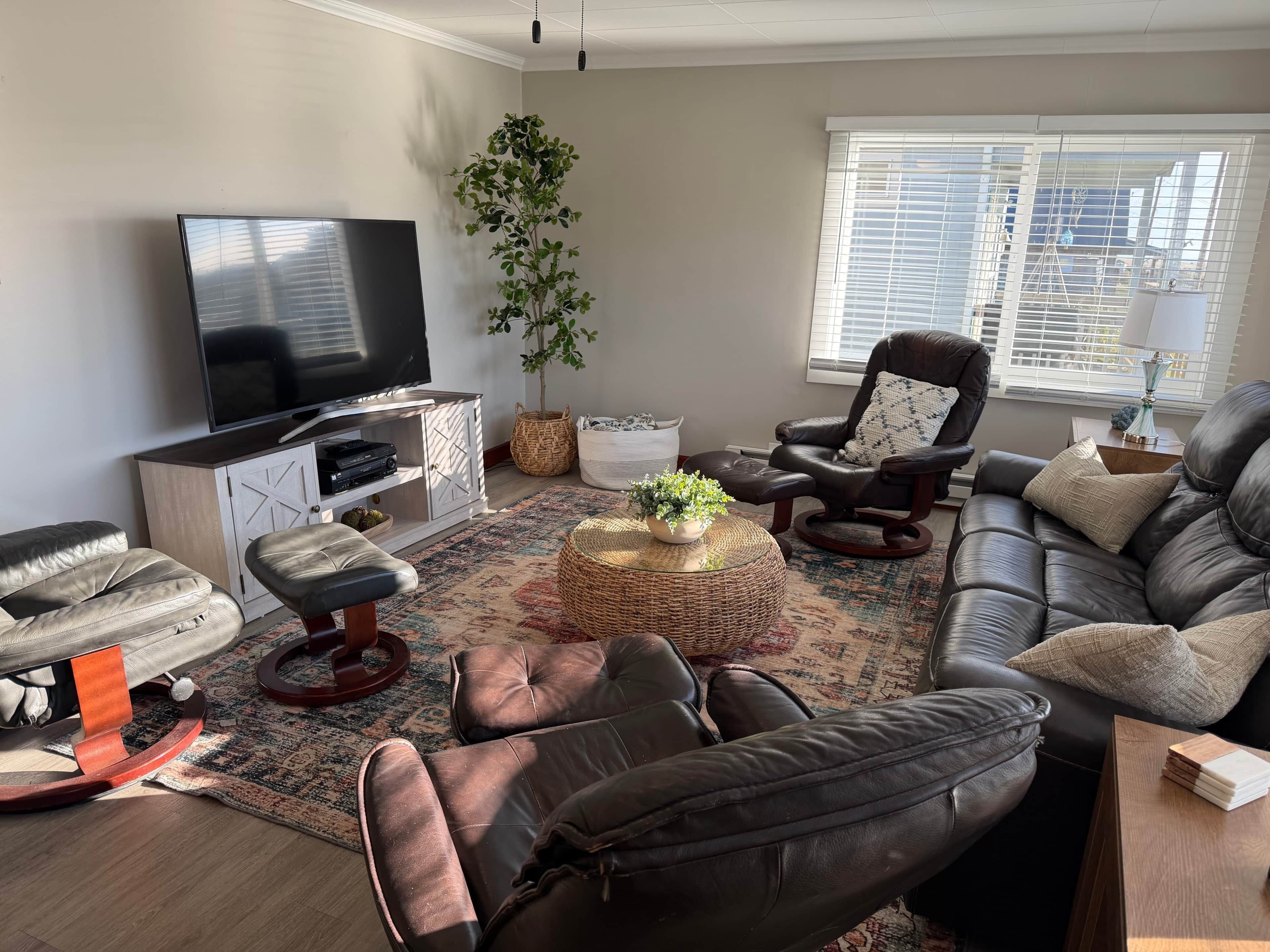 TV, fireplace, DVD player