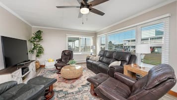 Televisión, chimenea y reproductor de DVD