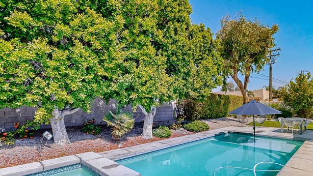 A rectangular swimming pool with a tiled edge, surrounded by a landscaped garden with various plants and a tree. - Racquet Club East Gem with 2 primary suites, heated pool & spa (Palm Springs)