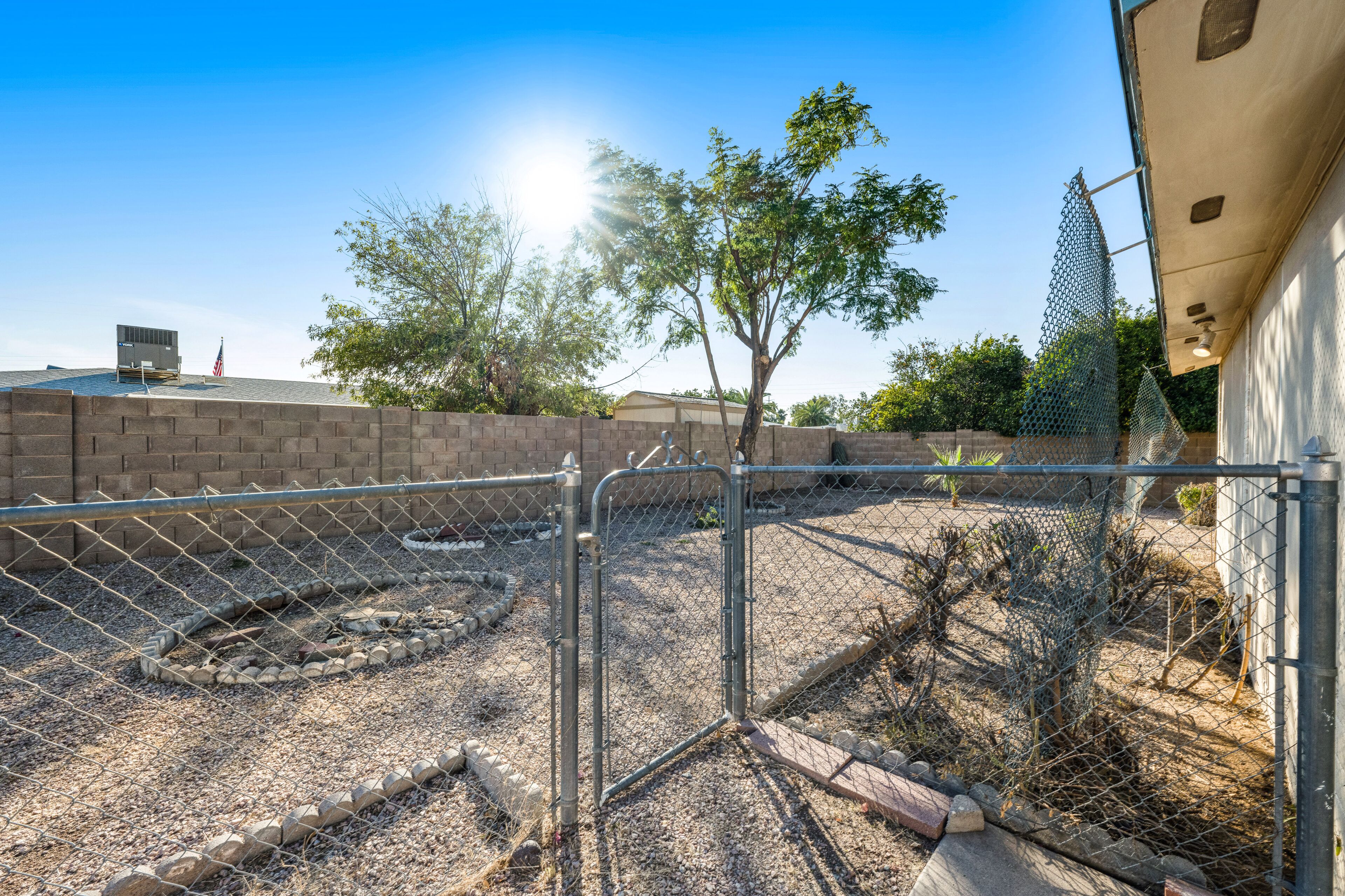 A fenced outdoor area with a small tree, gravel ground, and a brick wall in the background.