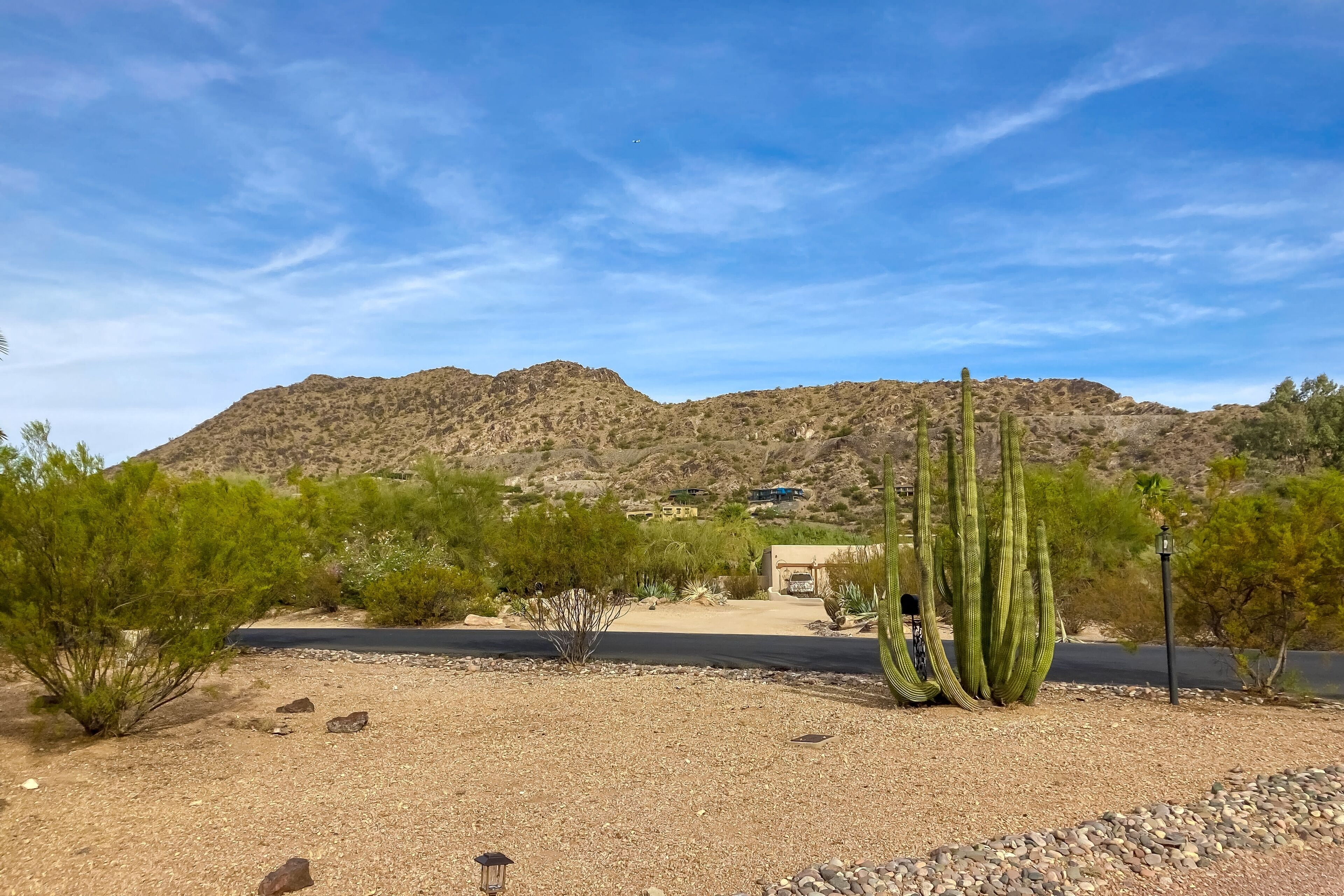 A desert landscape with a mountain, cacti, and sparse vegetation.