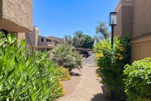 Property grounds - Sonoran Starlight condo with large backyard, pool and jacuzzi (Scottsdale)