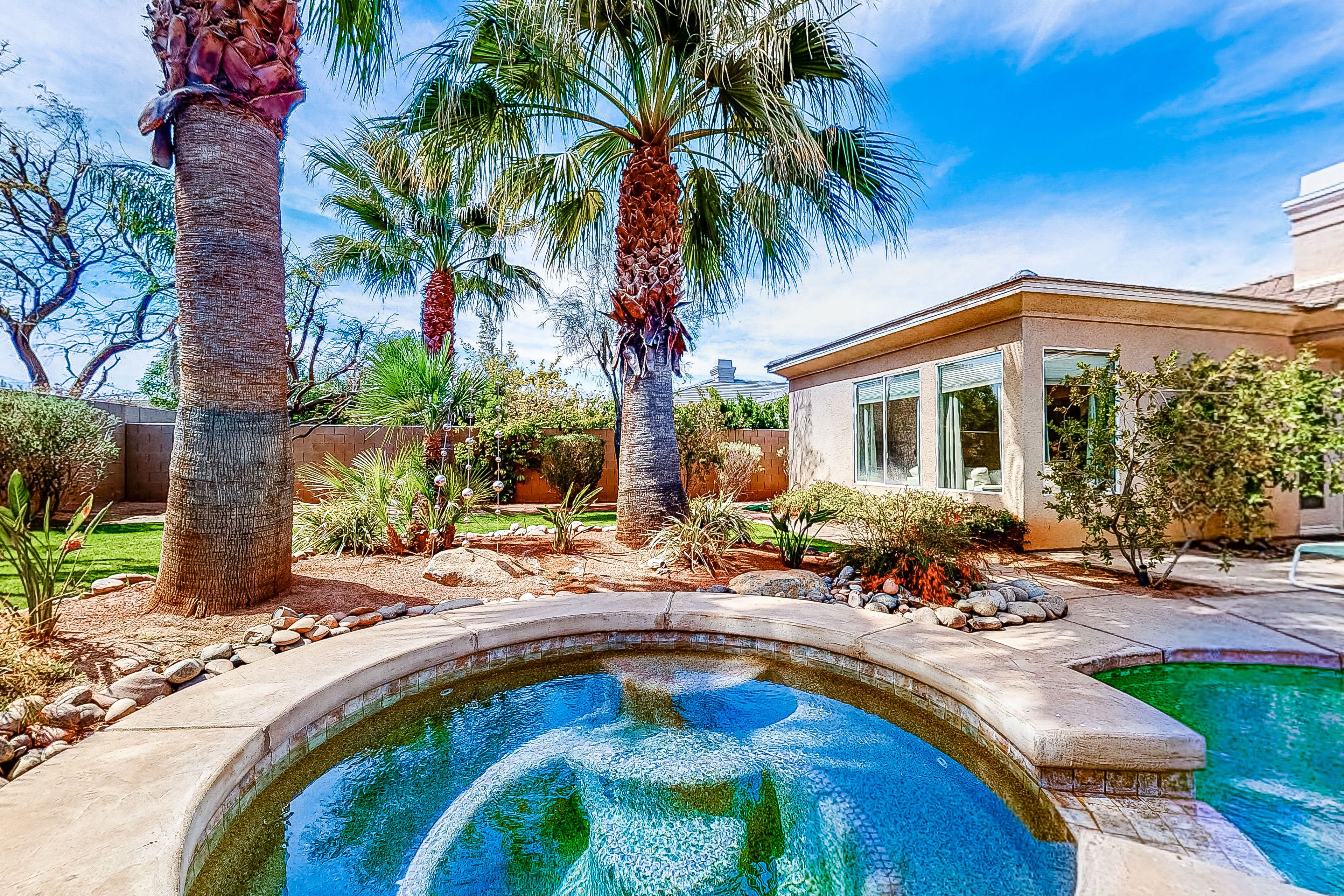 A swimming pool with a stone border, surrounded by palm trees and a house with large windows.