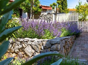 Property grounds - Villa Antonia - FourBedroom Villa With Sauna and jacuzzi (Kornic)