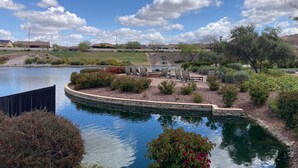 A serene outdoor area with a pond, seating, and landscaping. - Modern 55+ home with community pool, clubhouse, gym, pickleball (Goodyear)