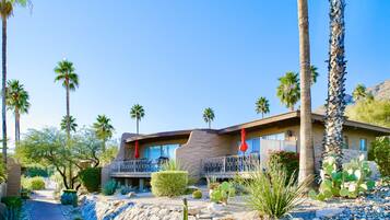 A modern building with a curved facade, a balcony with a railing, and a desert garden with cacti and palm trees.