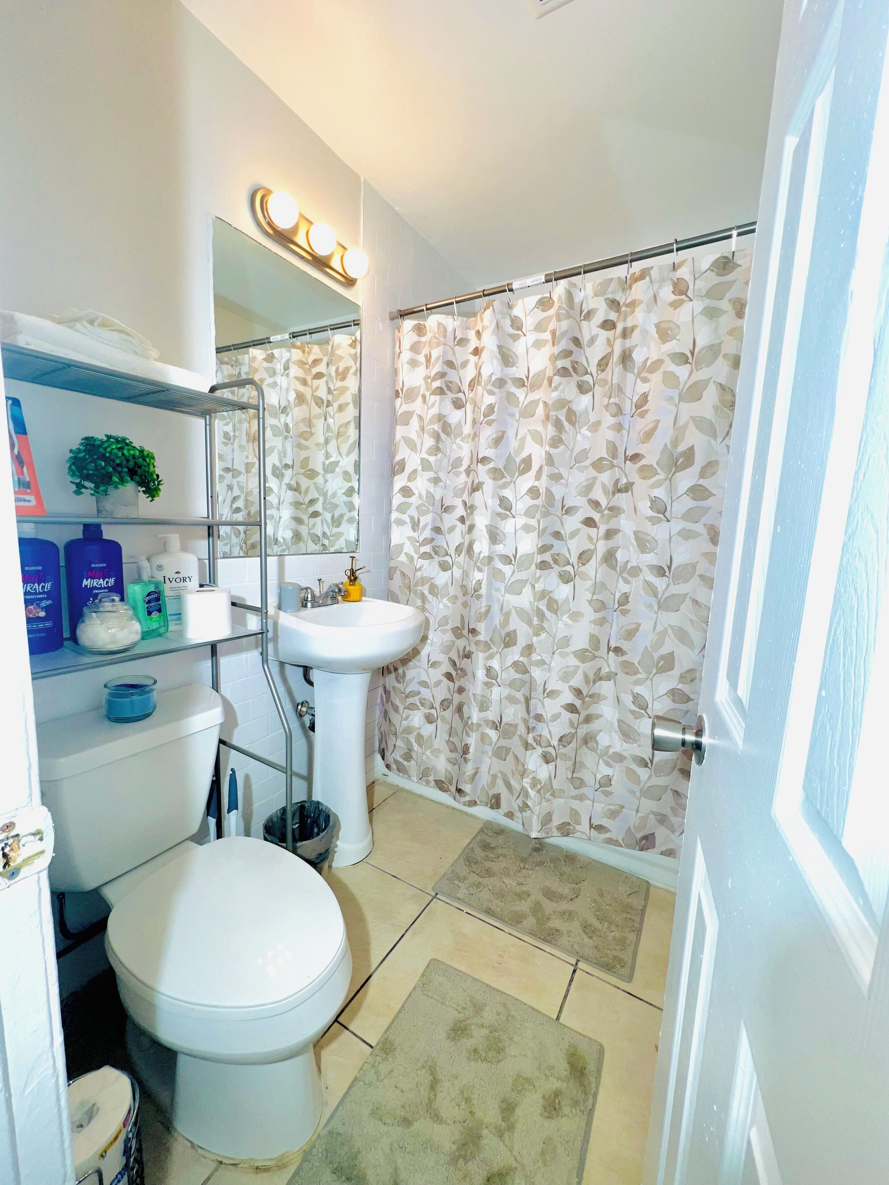 Hair dryer, towels, soap, toilet paper