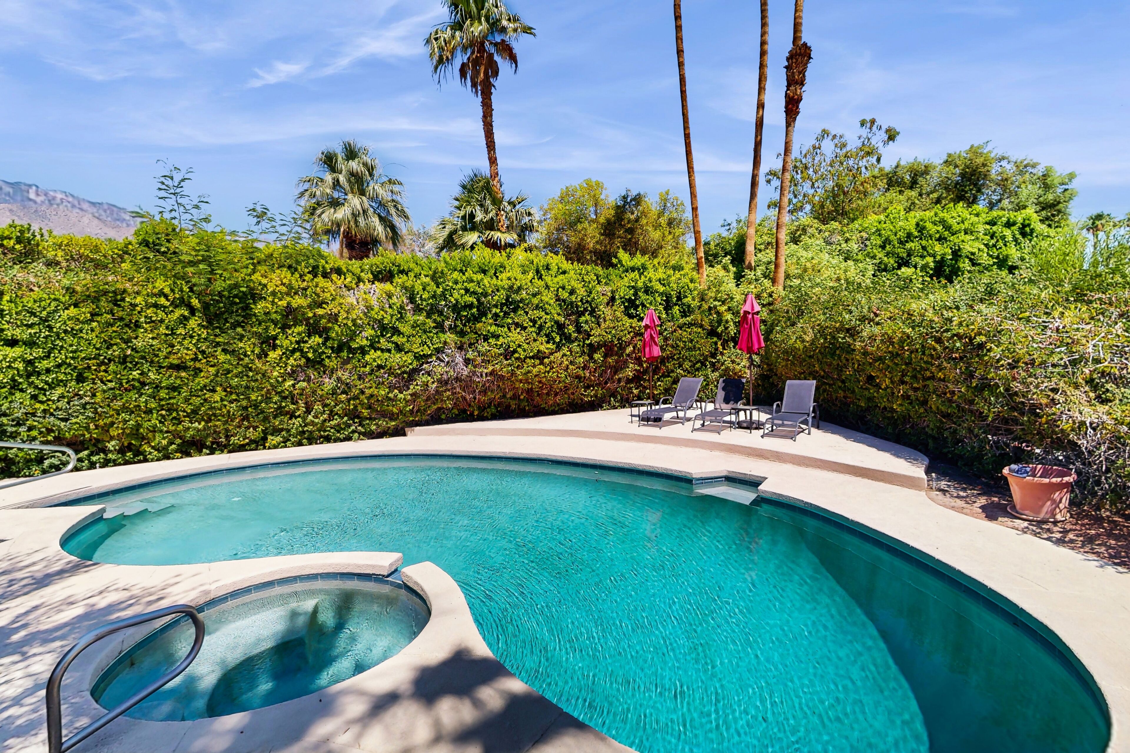 Una piscina de borde curvo, rodeada de abundante vegetación y palmeras.