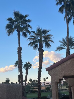 Property grounds - 2-bedroom fully furnished condo in enchanting Palm Springs with AC. (Palm Springs)