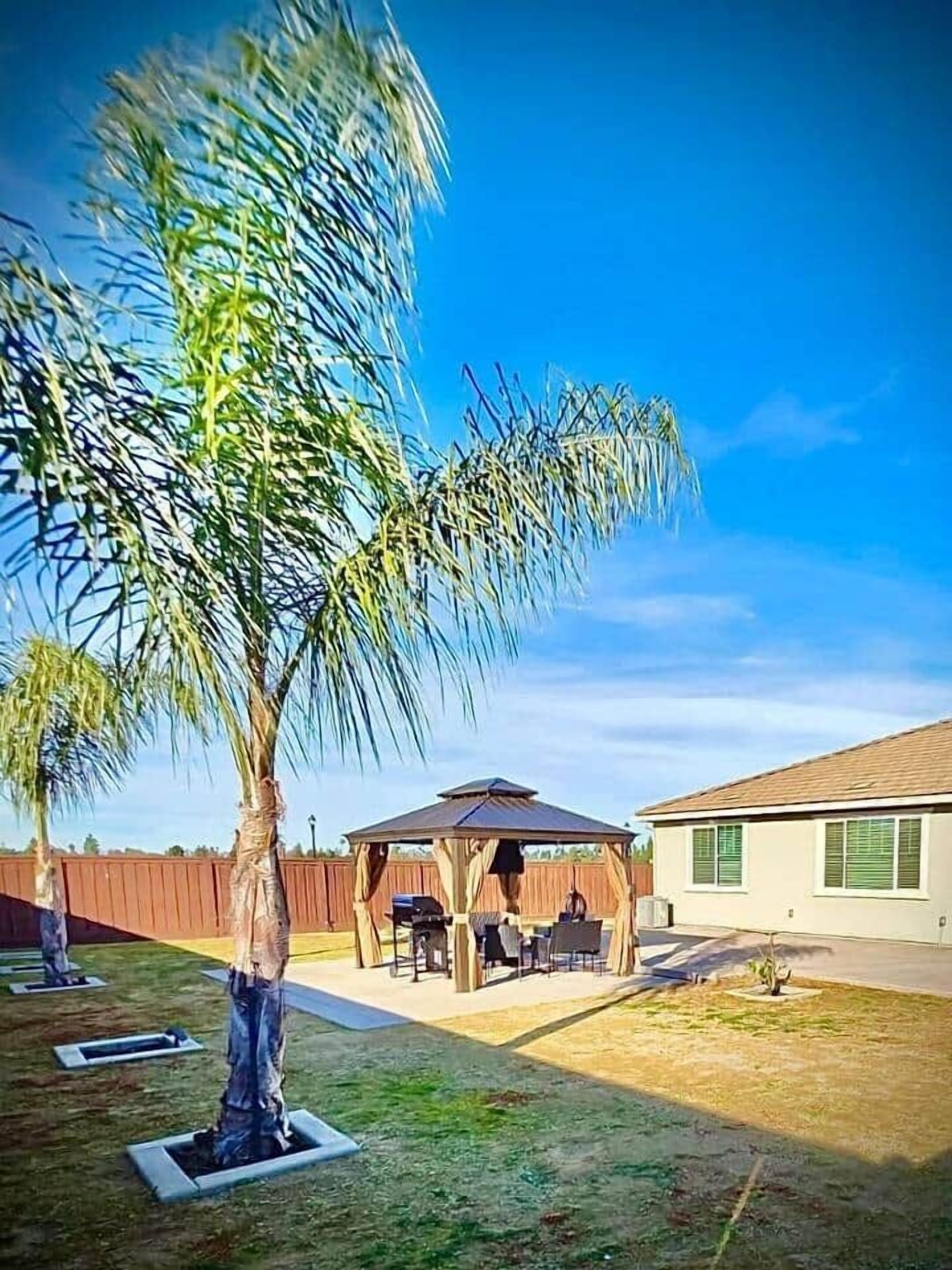 テラス / パティオ