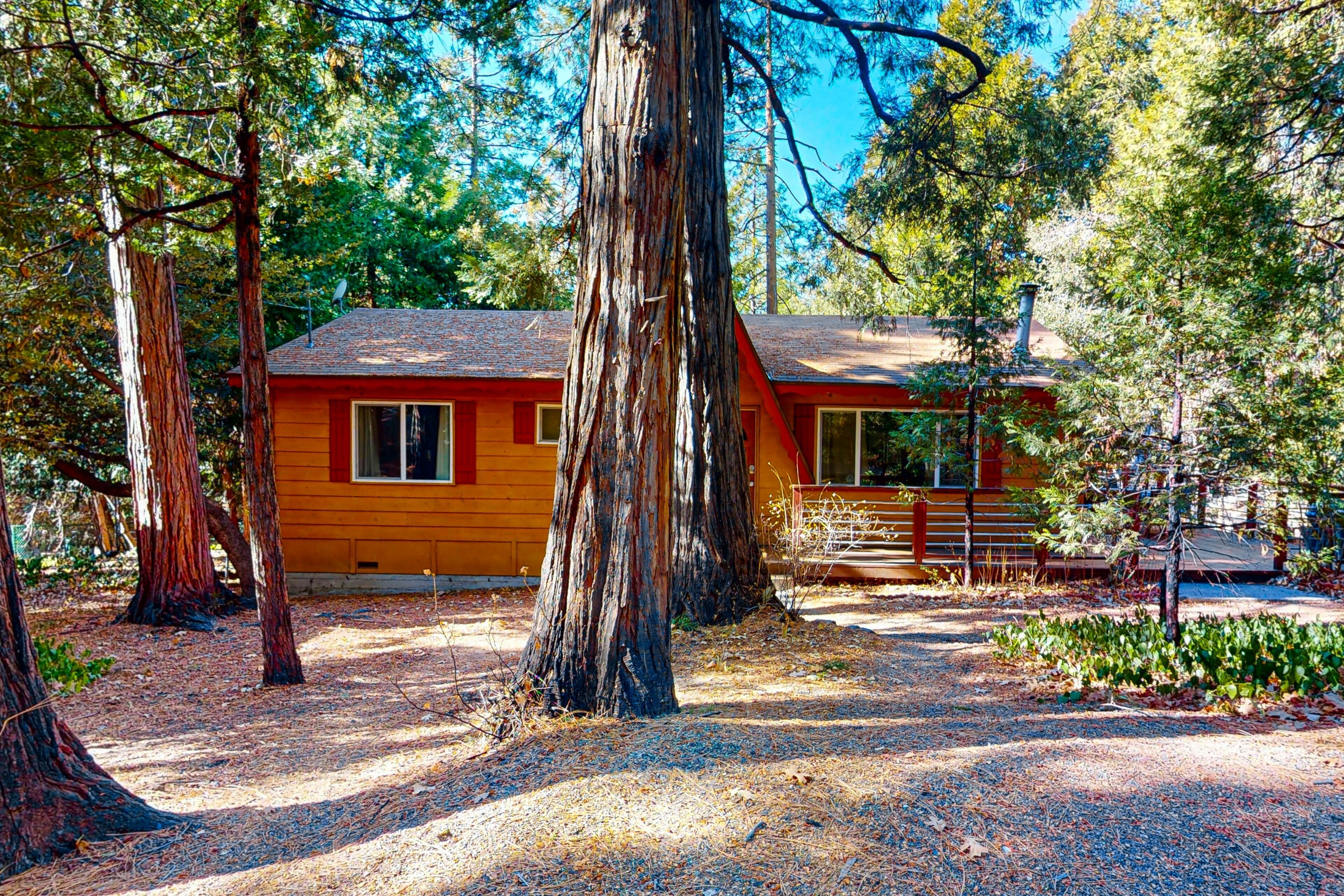 A cabin with a red exterior, surrounded by large trees and a gravel path.