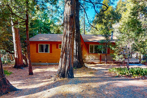 A cabin with a red exterior, surrounded by large trees and a gravel path.