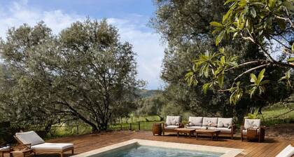 Typical Corsican house in the heart of nature