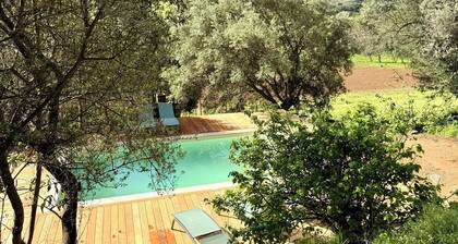 Typical Corsican house in the heart of nature