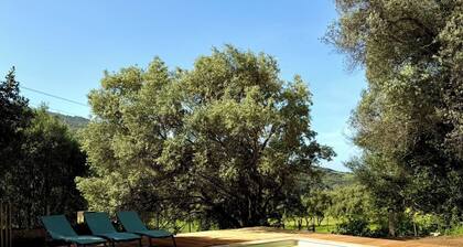 Typical Corsican house in the heart of nature